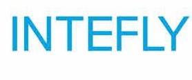 Intefly Logo